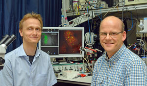 PD Dr. Knut Kirmse (l.) und Prof. Dr. Knut Holthoff verfolgten die Wirkung des Neurotransmitters GABA in vivo. Foto: Szabo/UKJ